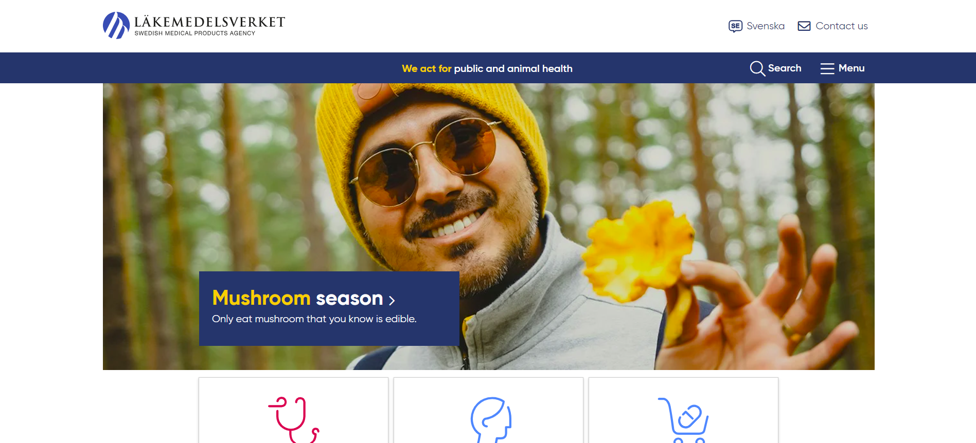 Snímek obrazovky 2024-11-08 154143