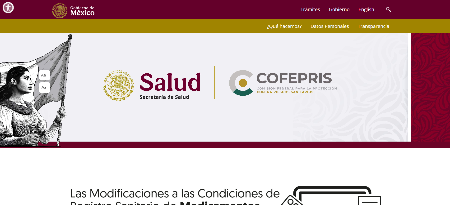 Snímek obrazovky 2025-01-10 155746