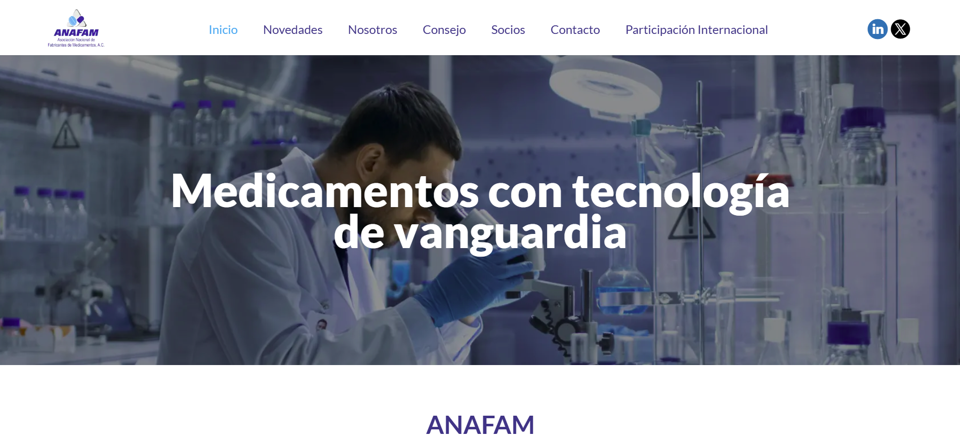 Snímek obrazovky 2025-01-10 160644